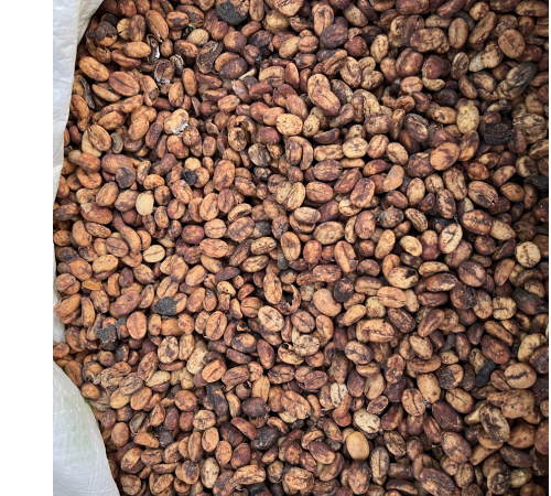 Unveiling the Sweetness: The Honey Process in Coffee