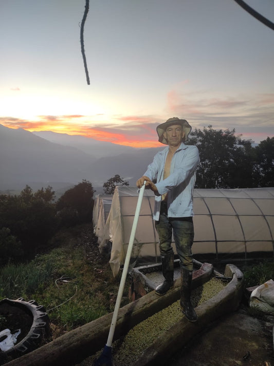 From Farm to Cup: The Story of La Maria Coffee Farm