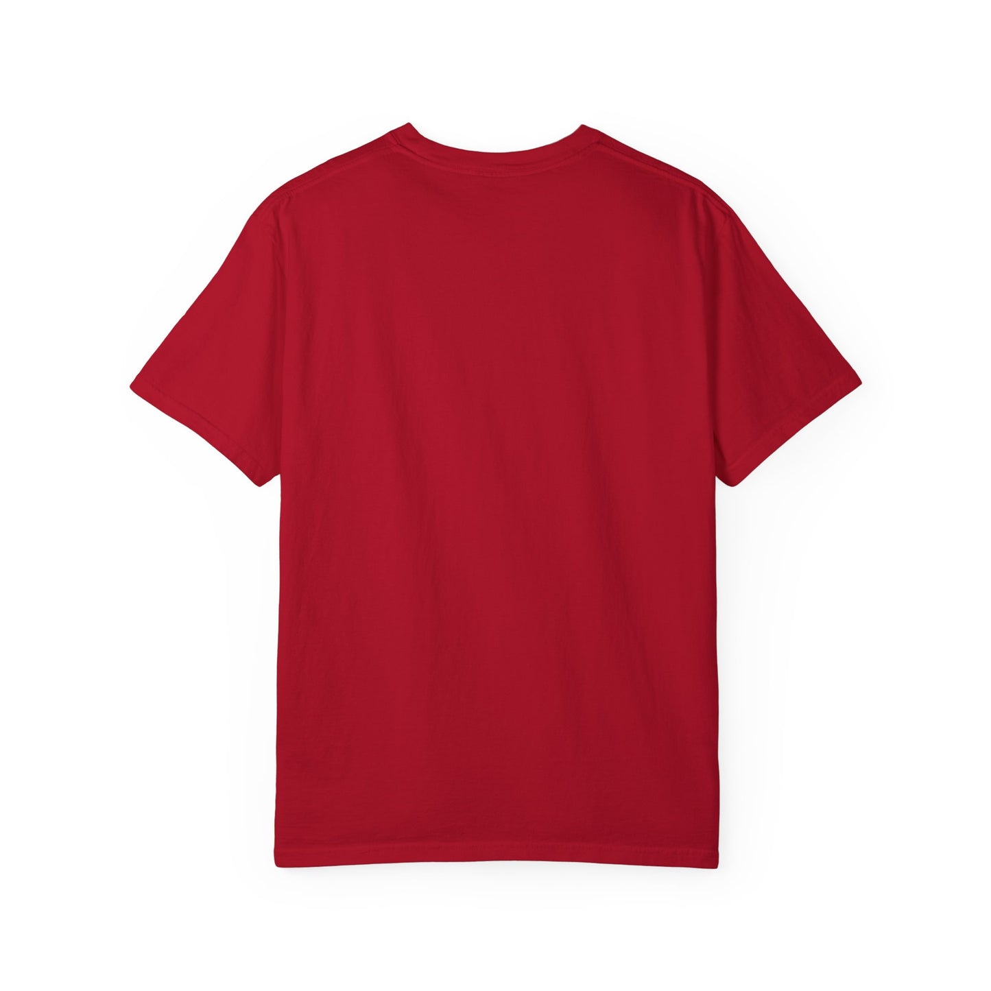 Hummingbird Unisex T-shirt - Huila Colombia Colibri - front design