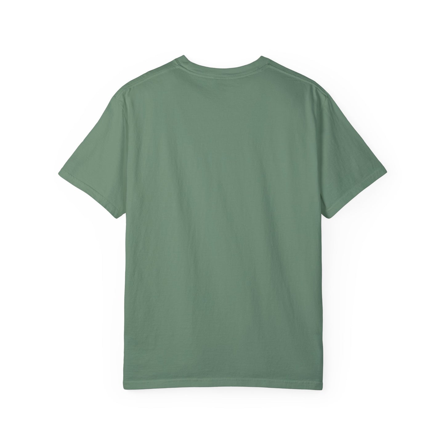 Hummingbird Unisex T-shirt - Huila Colombia Colibri - front design